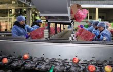 Як відновлюють економіку на звільнених територіях: серія мотиваційних відеороликів від підприємців