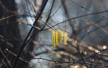 Погода приготувала українцям неприємний сюрприз: синоптик здивував прогнозом