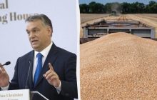 Орбан выступил против украинской агропродукции: призывает не допускать на рынок ЕС