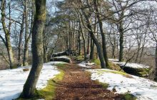 16 января в Украине начнет теплеть, - прогноз (карта)