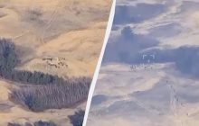 На Херсонщині вдарили по полігону РФ, "мінуснули" командирів і десятки окупантів (відео)