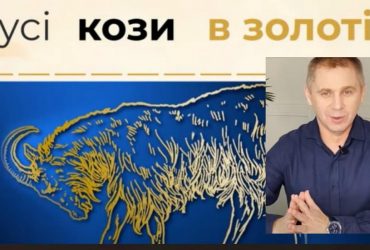 Все козы в золоте: Авраменко объяснил, что означает этот колоритный фразеологизм