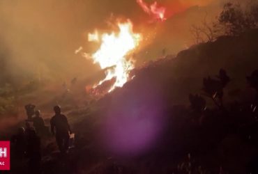 Последствия будут катастрофическими: годовое потепление на планете превысило полтора градуса