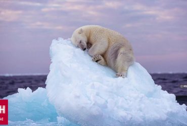 Не только победил в конкурсе, но и привлек внимание к очень важной проблеме