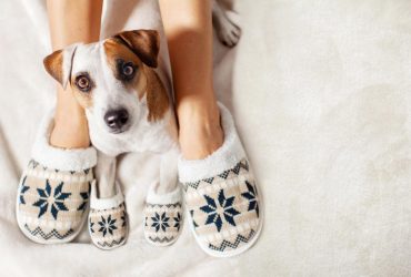 Як часто потрібно змінювати домашні капці і прати їх: важливо для кожного