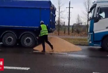 Польща перепросила за розсипане українське зерно