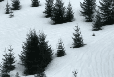 Чоловік перейшов незаконно кордон до Румунії: мандрівка закінчилася трагедією