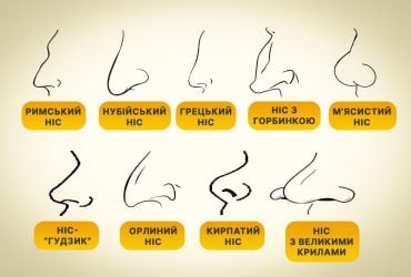 Яка у вас форма носа: виберіть на картинці свій і пройдіть тест