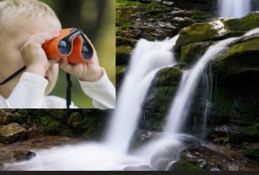 Усі бачать водоспад, і лиш дуже уважні знайдуть лисицю за 7 секунд: захоплива головоломка