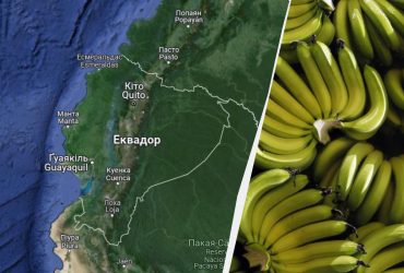 Бананова війна з РФ: Еквадор відмовився передавати Україні зброю