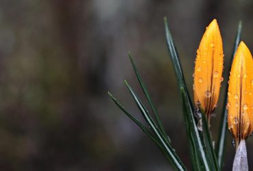 Синоптики прогнозуюють дощі в Україні: де та коли буде мокро