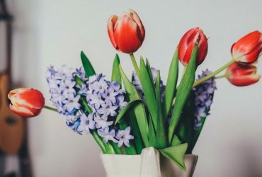 Календар свят у березні 2024: що відзначаємо і скільки відпочиваємо