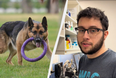 Названы породы собак, которых боятся даже опытные ветеринары