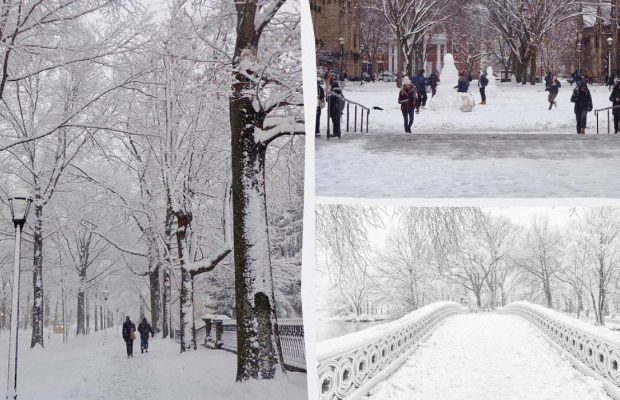 Конец "снежной засухе": на Нью-Йорк обрушился первый за последние годы снегопад (фото)