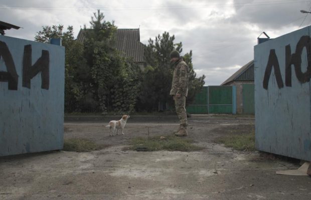 О людях и животных: Антон Птушкин показал трейлер своего первого фильма для больших экранов