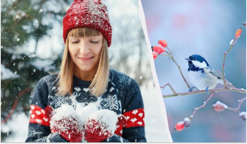 Какой сегодня праздник 10 февраля / коллаж УНИАН, фото ua.depositphotos.com Какой сегодня праздник 10 февраля / коллаж УНИАН, фото ua.depositphotos.com
