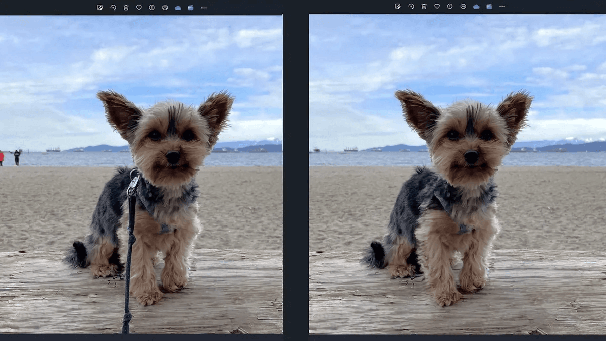 Вышло крупное обновление Windows 11 c бесплатным аналогом Photoshop и ИИ-функциями Вышло крупное обновление Windows 11 c бесплатным аналогом Photoshop и ИИ-функциями
