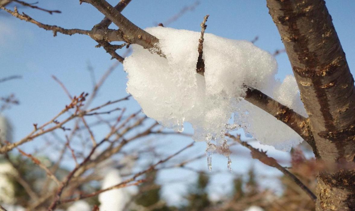 Осpixabay.com Осpixabay.com