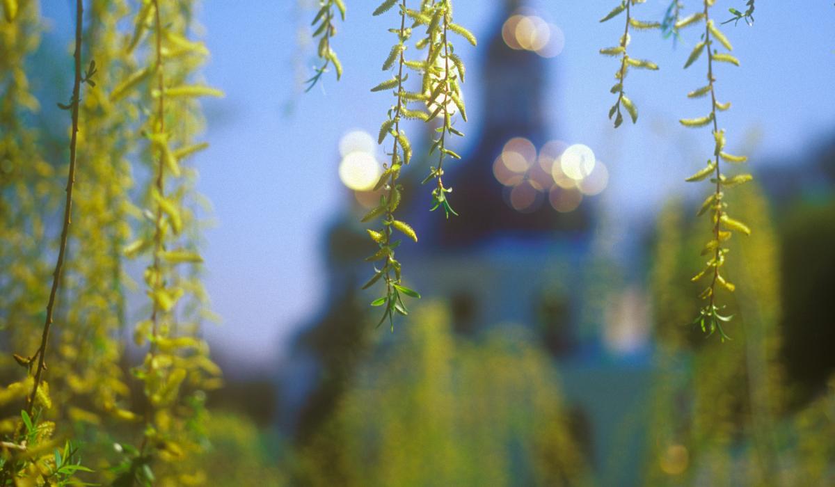 Какой сегодня церковный праздник 18 апреля 2026 года