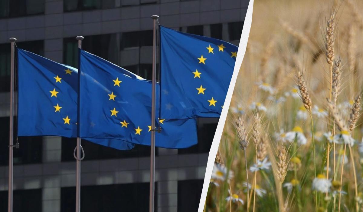 Низка країн хочуть, щоб ЄС заборонив імпорт зерна з з Росії та Білорусі / колаж УНІАН, фото Reuters, Рixabay Низка країн хочуть, щоб ЄС заборонив імпорт зерна з з Росії та Білорусі / колаж УНІАН, фото Reuters, Рixabay