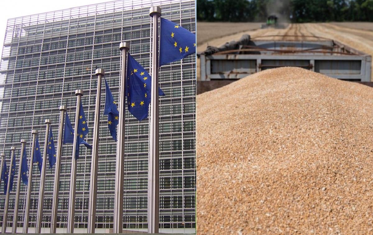 Зараз для української пшениці у ЄС взагалі немає імпортного тарифу, каже Декнис Марчук / Колаж УНІАН, фото Вікіпедія, УНІАН