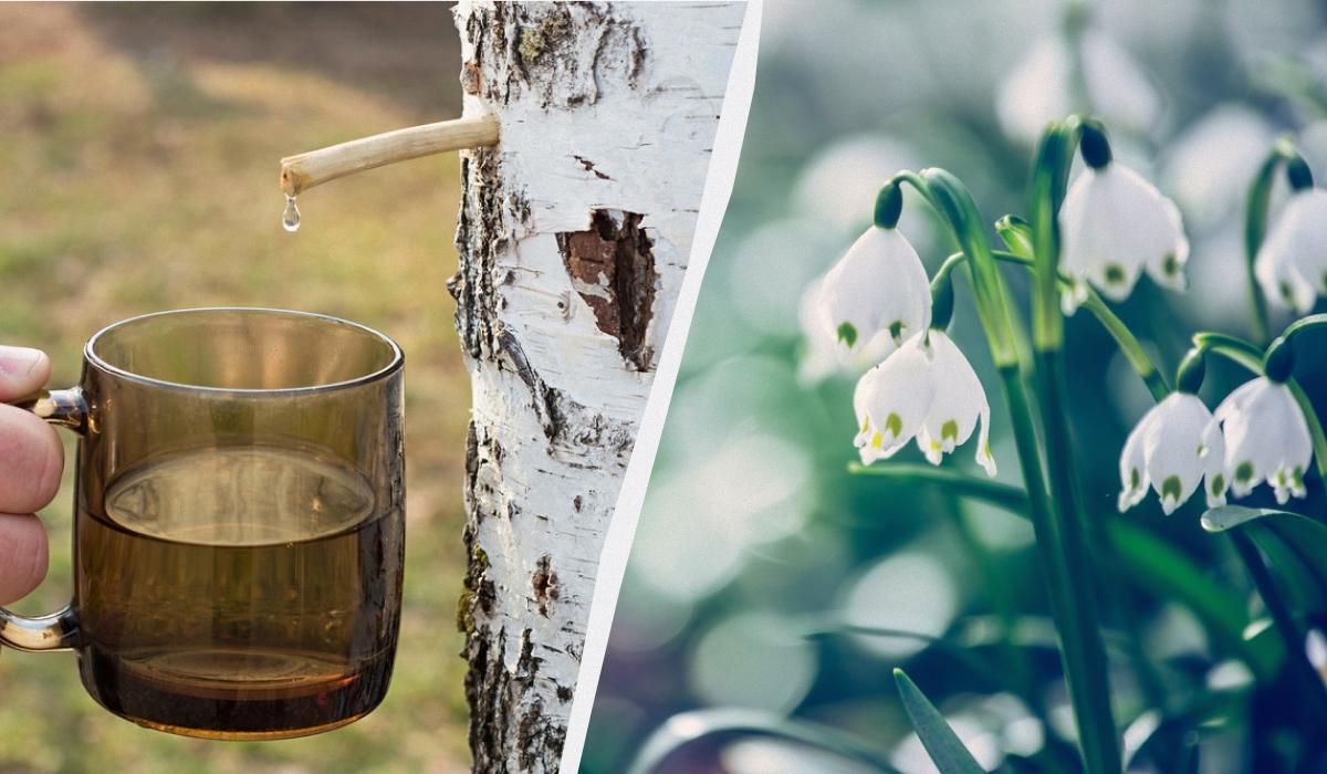 какой сегодня праздник какой сегодня праздник