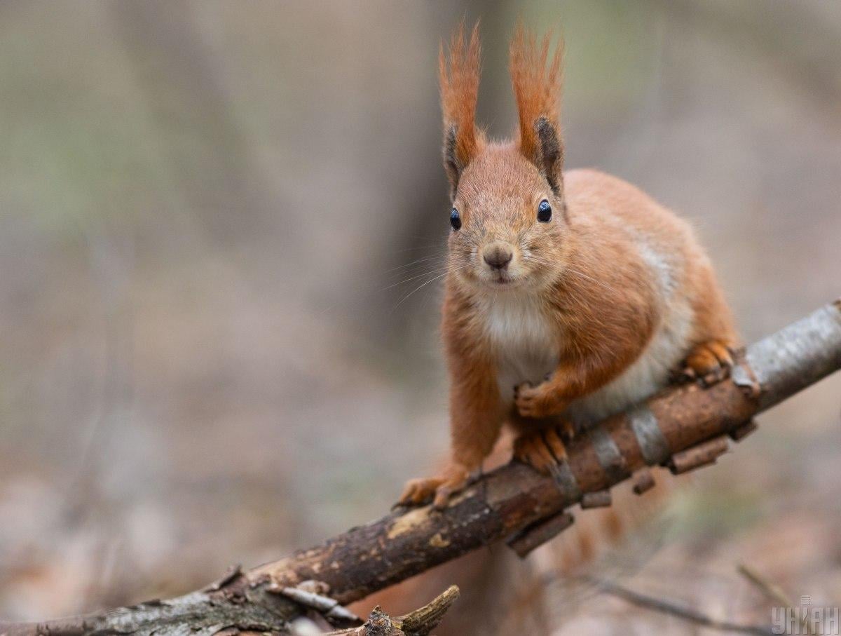 Погода с понедельника принесет потепление / фото УНИАН Погода с понедельника принесет потепление / фото УНИАН