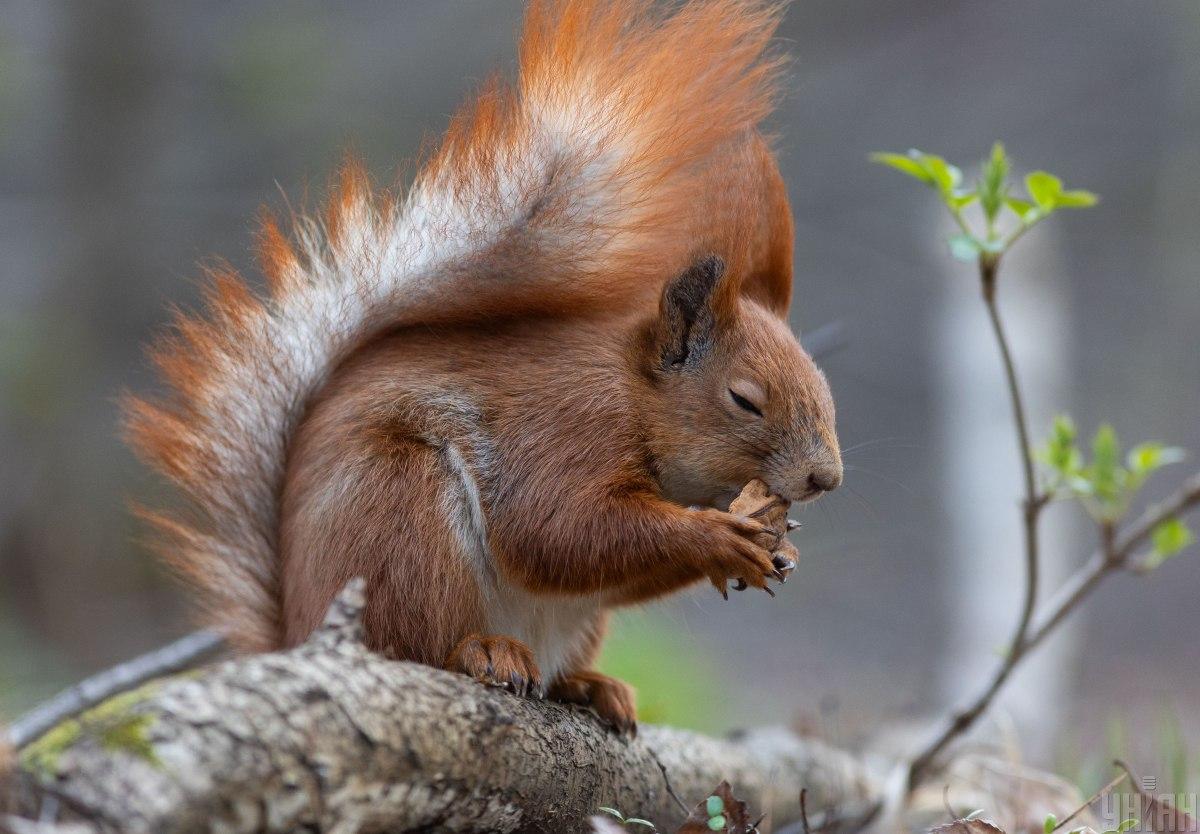 В Украину идет долгожданное тепло / фото УНИАН В Украину идет долгожданное тепло / фото УНИАН