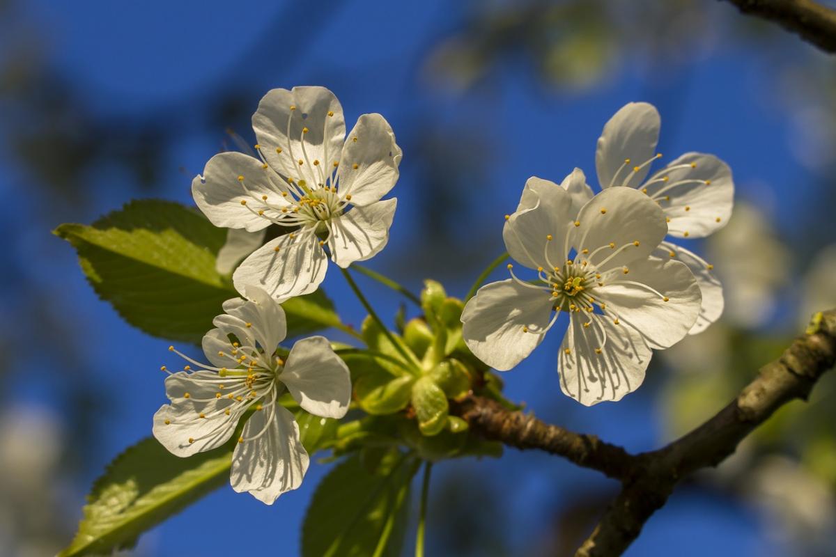 Украину разогреет до +22°: синоптик рассказал, когда придет долгожданное тепло