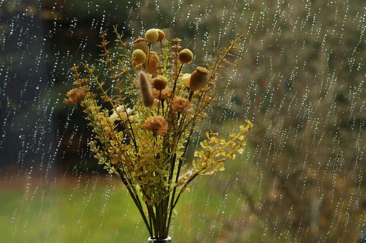 3 октября в Украине задождит / фото Pixabay 3 октября в Украине задождит / фото Pixabay