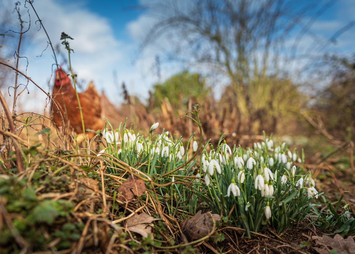 какой сегодня праздник