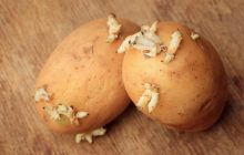 Можно ли есть сморщенную картошку: что советуют эксперты