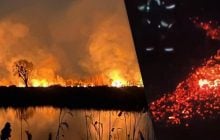 В Киеве масштабный пожар на Осокорковских озерах (фото, видео)