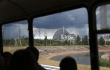 В Чернобыле ученые нашли существ, которые не пострадали от ядерной катастрофы: в чем причина