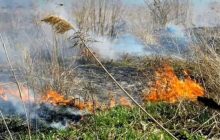РФ начала применять БпЛА с зажигательной смесью: что известно