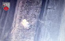 ЗСУ з HIMARS знищили новітній російський комплекс РЕБ "Палантин" (відео)