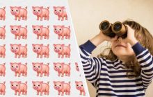 Напрочуд складна головоломка: треба знайти дивне порося серед 108 інших за 8 секунд