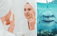 Сотні видів акул опинилися під загрозою вимирання через один косметичний інгридієнт