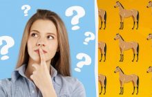 Тільки "гуру" знайде загадкового коня за 6 секунд: чудернацька оптична ілюзія