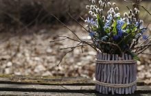 Синоптик Диденко сообщила, какая погода будет в Украине на Вербное воскресенье