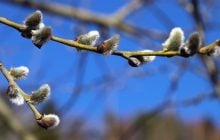 Синоптик розказав, коли погода в Україні покращиться