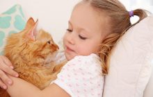 Найкращі няньки: 10 порід котів, які ідеально підходять для сімей із дітьми