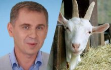 Що означає фразеологізм "козел відпущення": Авраменко дуже глибоко копнув