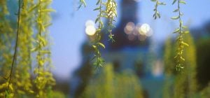 30 березня: церковне свято сьогодні, що потрібно дістати з шафи на Вербич