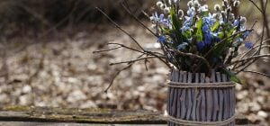 Известный синоптик рассказала, какая погода будет в Вербное воскресенье