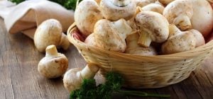 Почему нельзя мыть грибы под водой: ошибка, которую допускают почти все хозяйки
