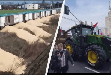 В ЄС придумали, як заспокоїти європейських фермерів, невдоволених українським зерном
