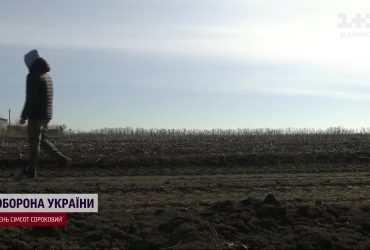 Посевная под вопросом: какой урожай ожидать в 2024 году
