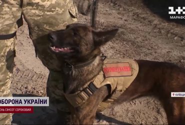 Оце так дуети: дрони в парі з собаками вишукують залишки присутності окупантів