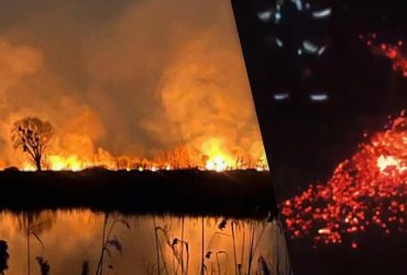 В Киеве масштабный пожар на Осокорковских озерах (фото, видео)